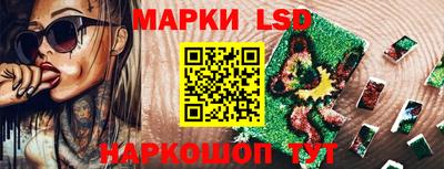хмурый Кингисепп