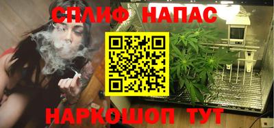 хмурый Кингисепп
