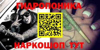 хмурый Кингисепп