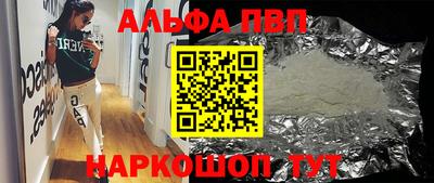 хмурый Кингисепп